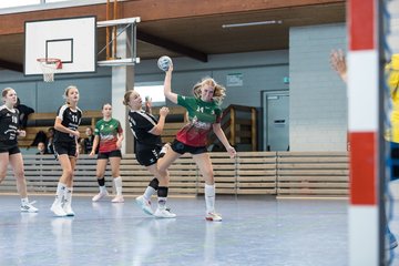 Bild 134 - wBJ HSG Kremperheide/Muensterdorf - HSG Joerl-Doppeleiche Vioel : Ergebnis: 34:23